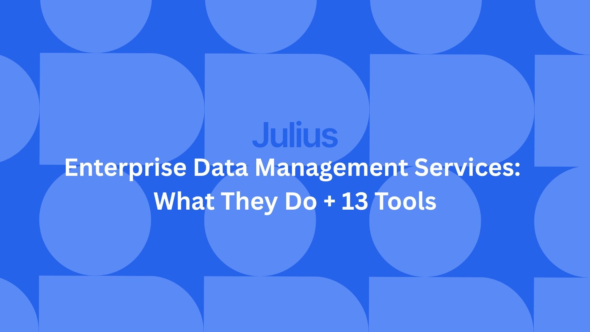 Enterprise Data Management Services: What They Do + 13 Tools | Julius AI