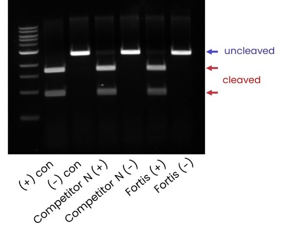 Cas Enzymes for Advanced Genetic Engineering with CRISPR Technology