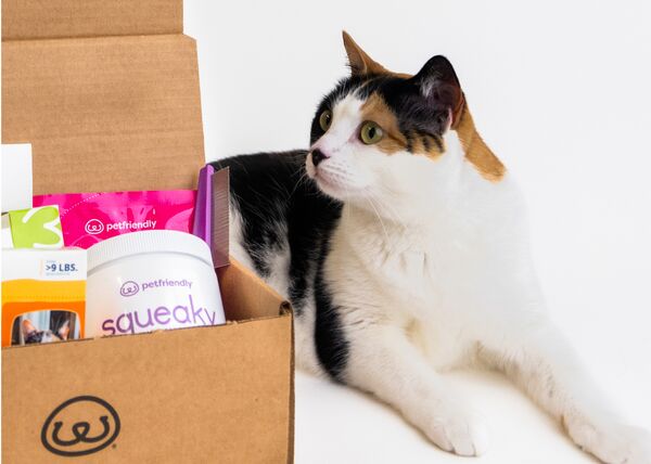 Squeaky Cat Ear Wipes | Gentle Pet Wipes for Cats - PetFriendly Box