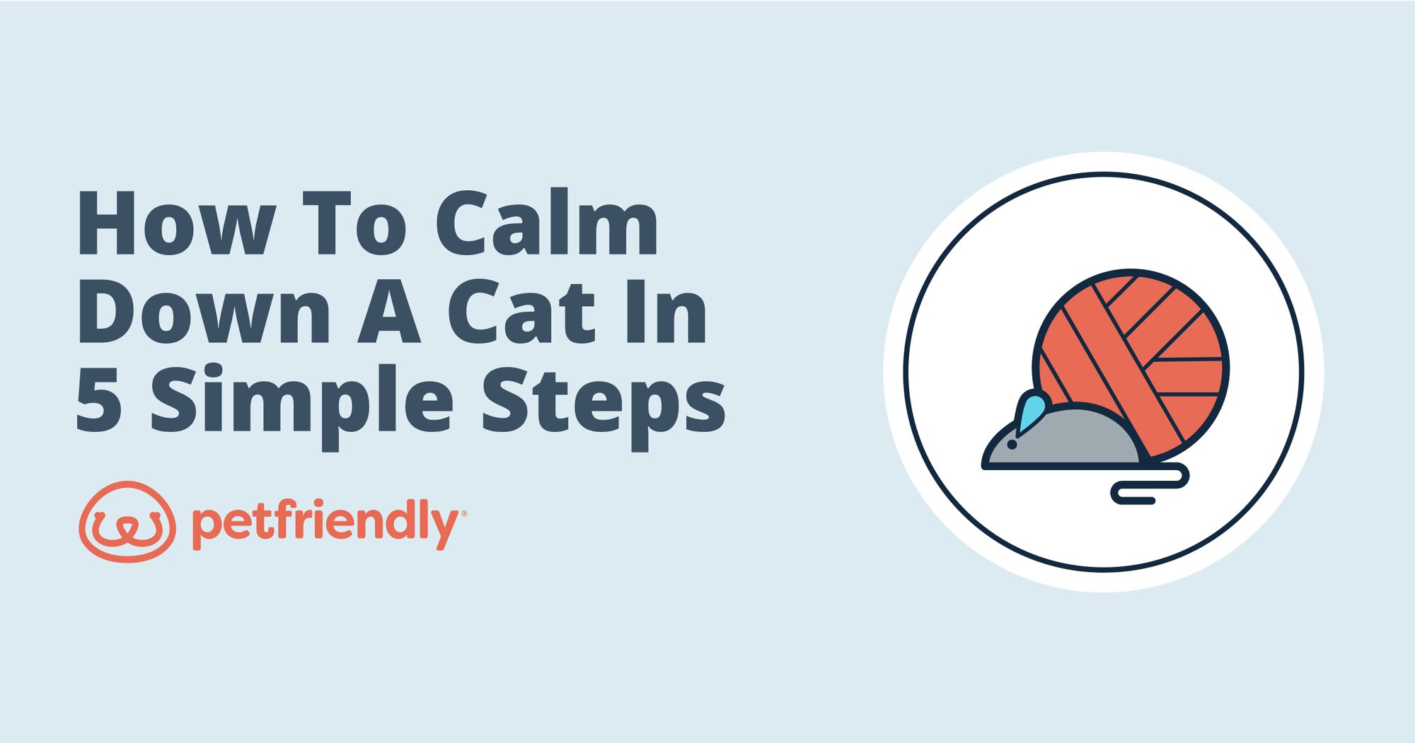 How to Calm Down a Cat in 5 Simple Steps - PetFriendly Box