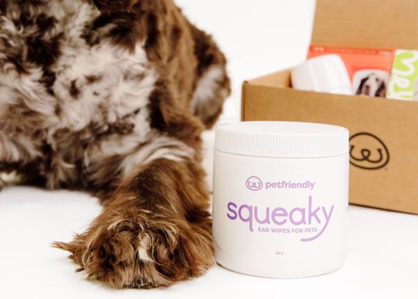 Squeaky Dog Ear Wipes | Gentle Pet Wipes for Dogs - PetFriendly Box