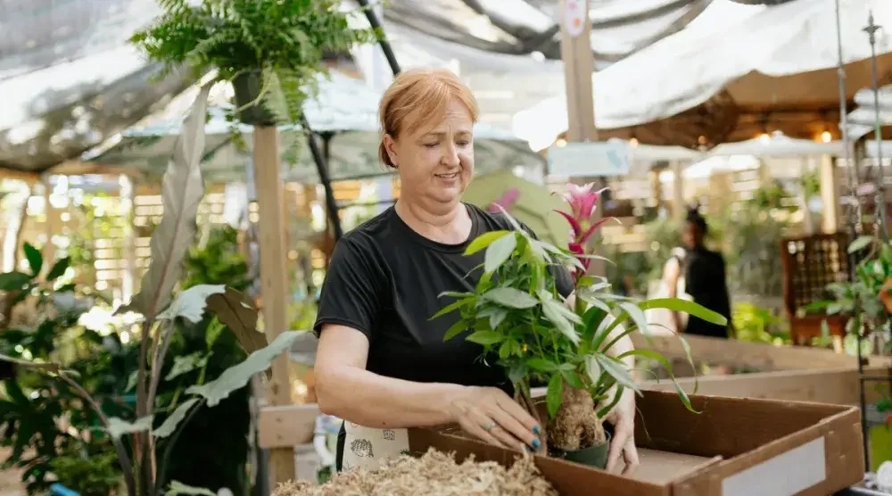 A woman works on a houseplant in front of her with other foliage surrounding her. The basic paperwork to start an LLC in South Carolina costs $110.