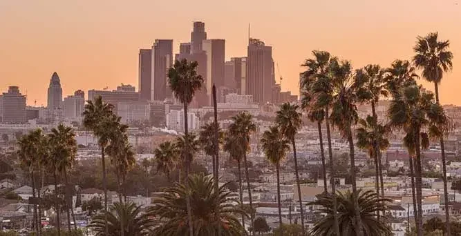 Palm trees stand in front of the Los Angeles skyline in the distance. Filing a DBA allows a company to do business with a different name than the one it's registered as.