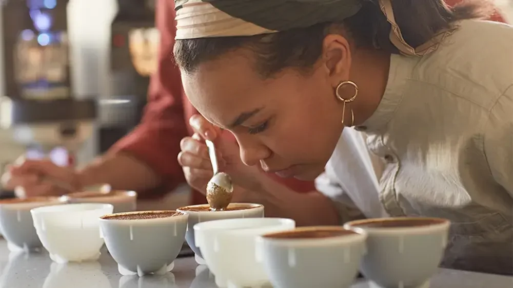 A chef inspects dishes before they are served to customers. She chose a type of Florida LLC that best fit her specific business needs and goals.