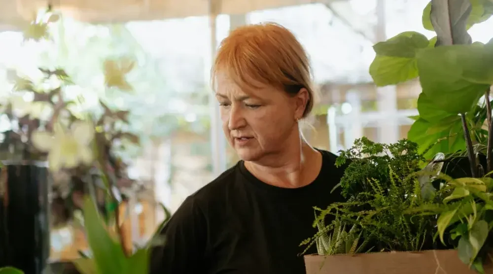 An Iowa plant shop owner examines potted plants on a shelf.