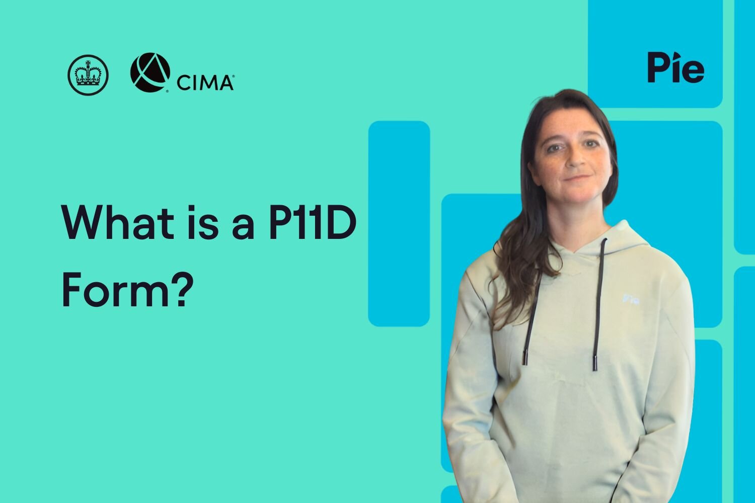 Understanding the P11D Form