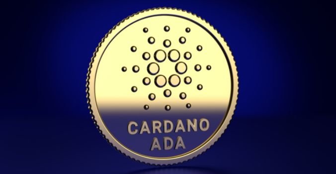 is cardano undervalued