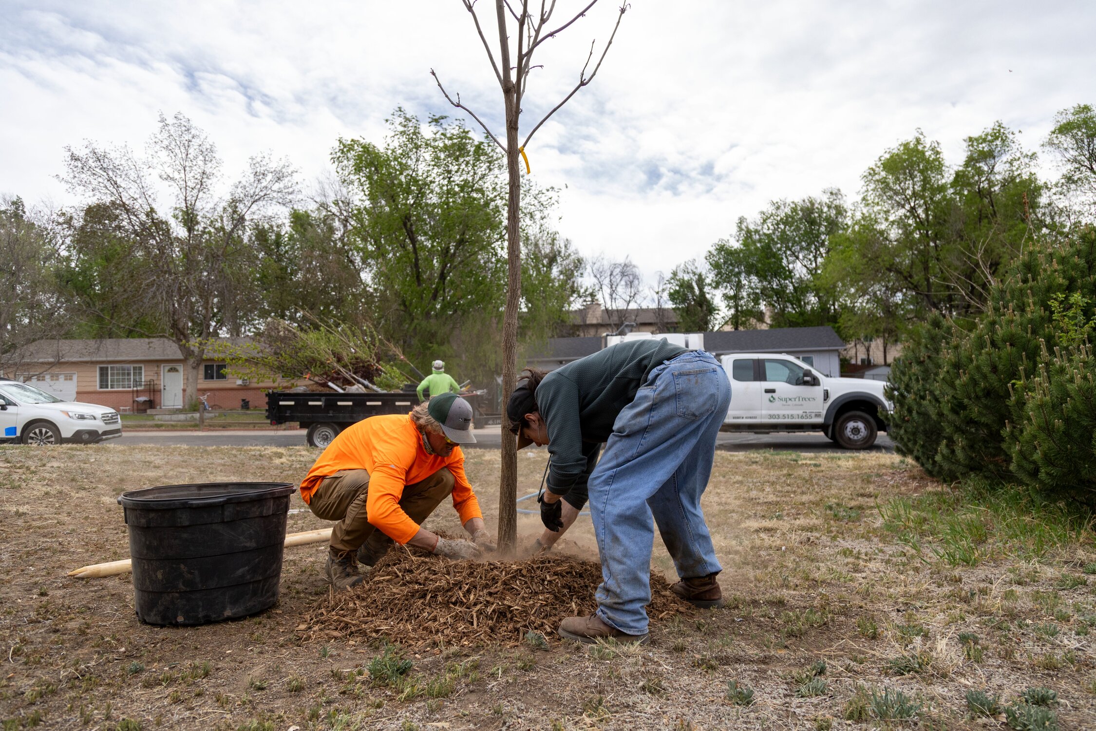 How Colorado Springs is balancing a new tree planting program in a ...