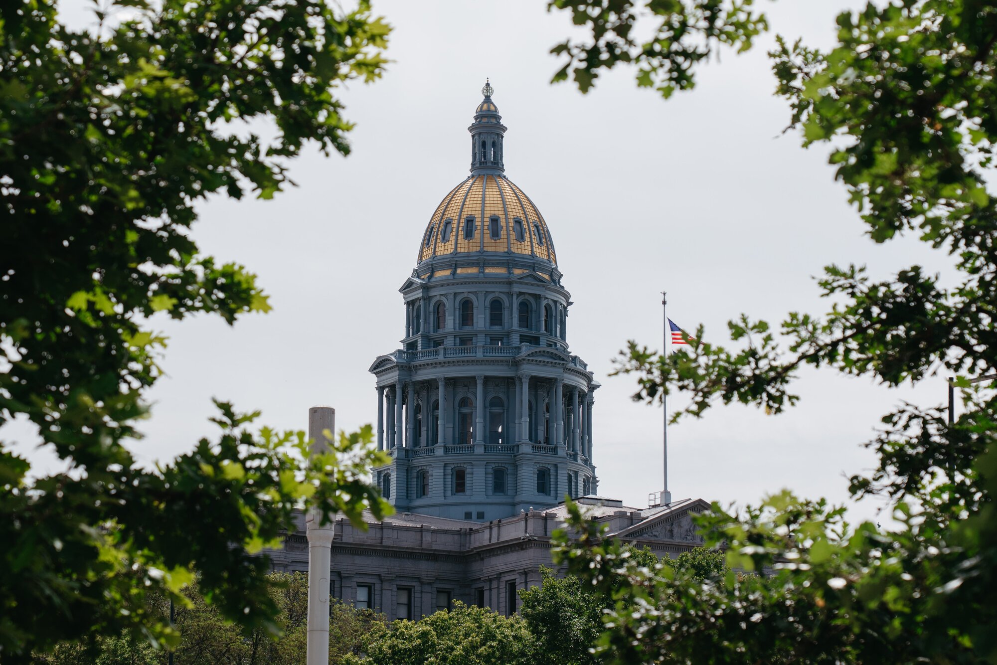 Colorado election results: Governor primary | Rocky Mountain PBS