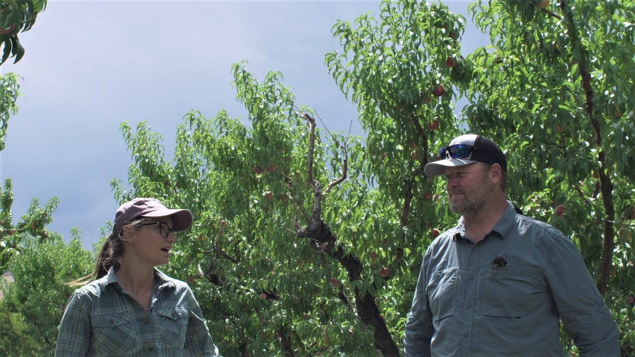 Honey from the rock: A regenerative farm in Delta County lets Mother ...