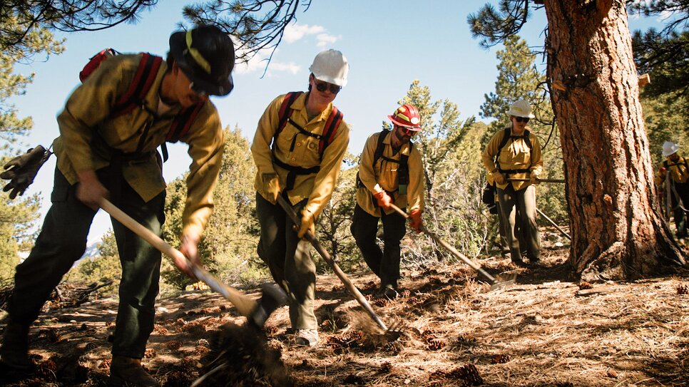 Trial by fire: A new generation of wildland firefighters learns the ...