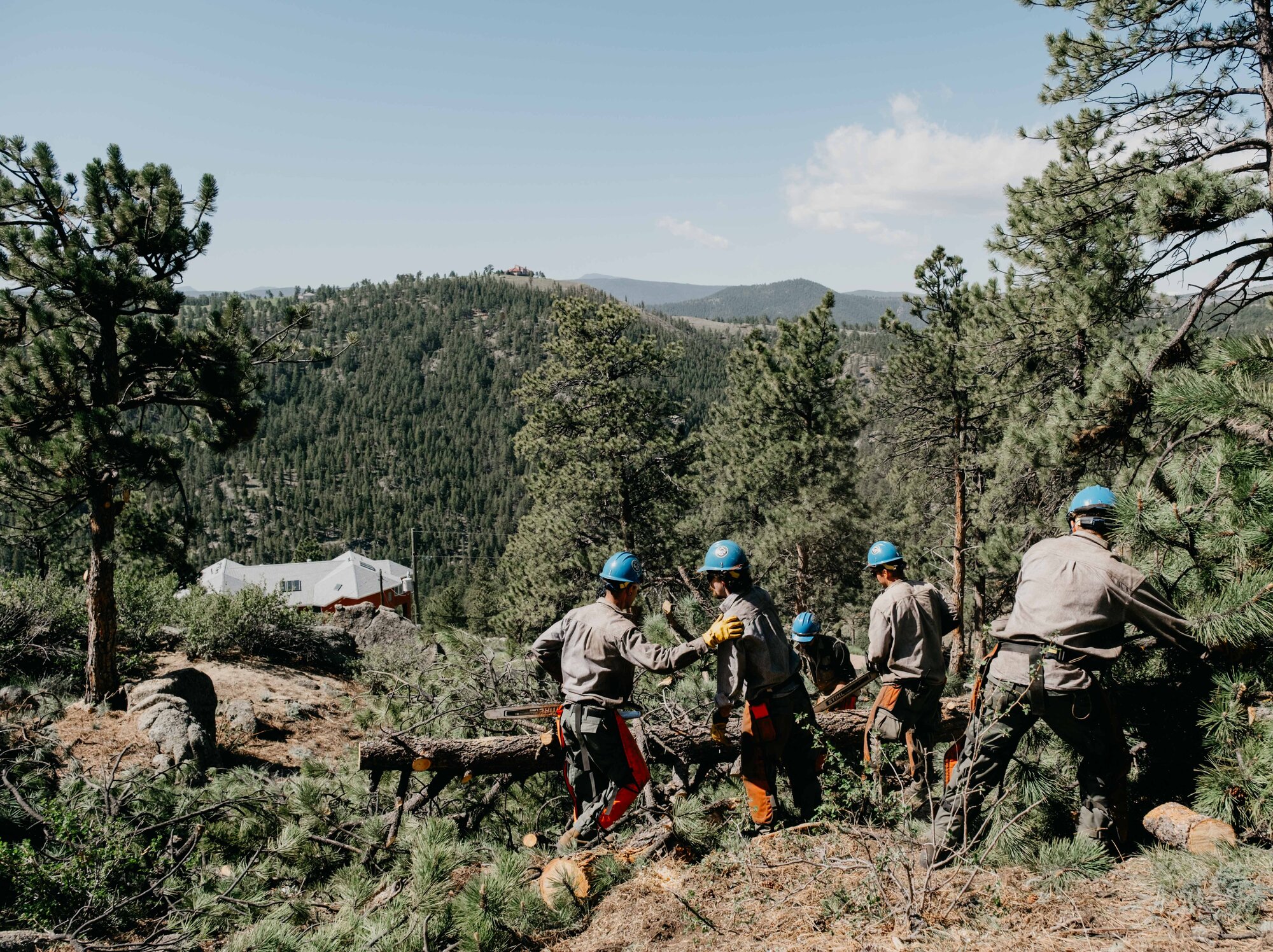 U.S. Forest Service reorganization prompts concerns of further employee ...