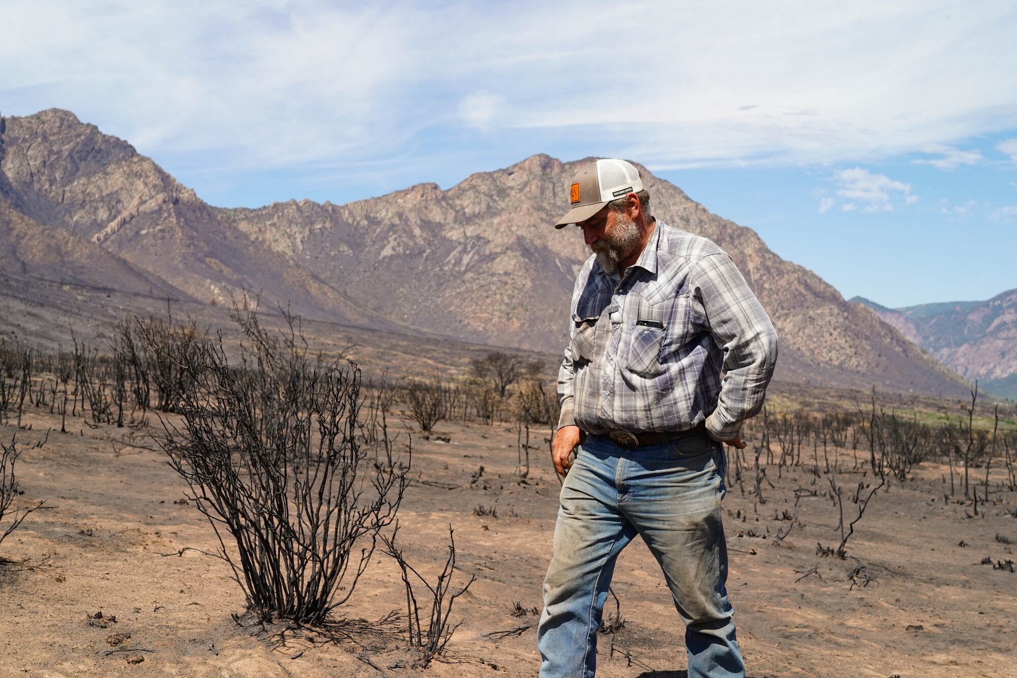 'It looks like a wasteland': Western Slope ranchers cope with the ...