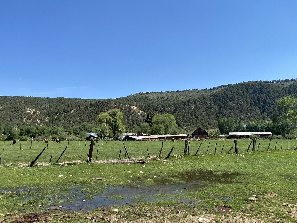 As family ranches decline, a Carbondale couple share their story of ...
