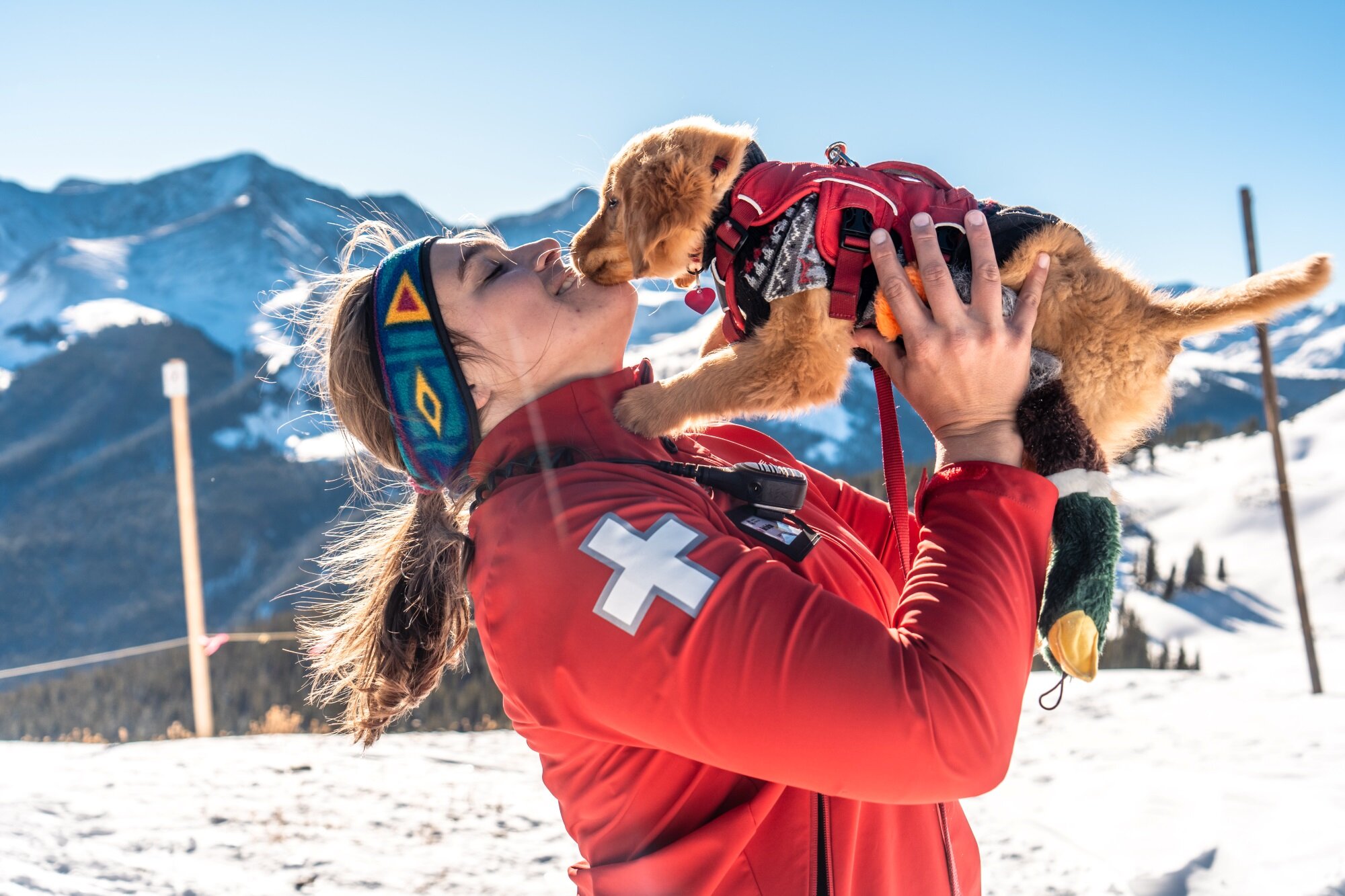 Threemonthold pup Aley is training with toys to save people from