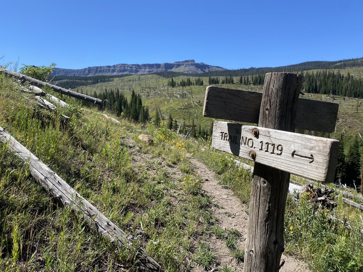 A new 300 mile trail takes hikers from Estes Park to Glenwood Springs ...