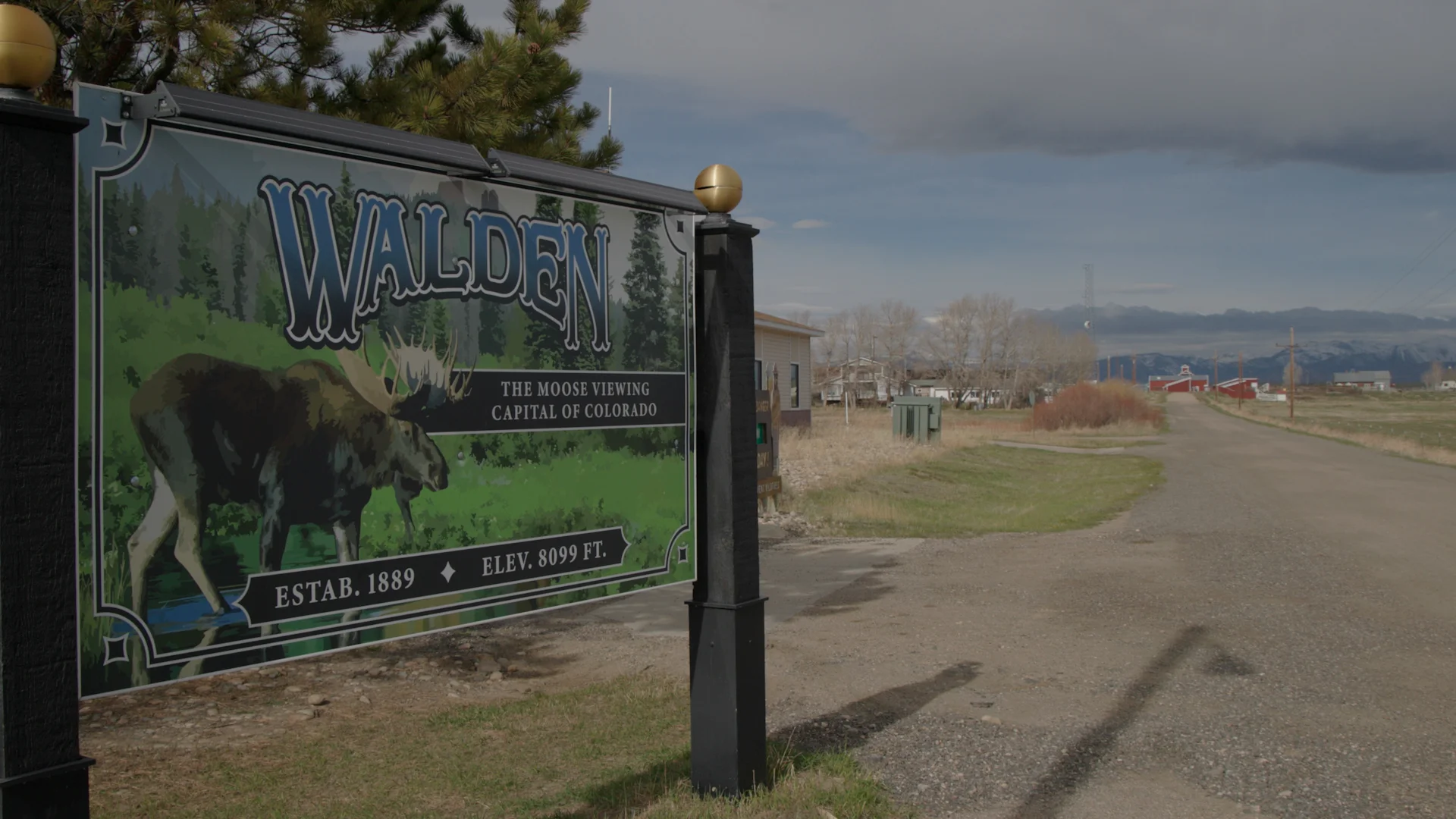 Counting moose in the moose viewing capital of Colorado | Rocky ...