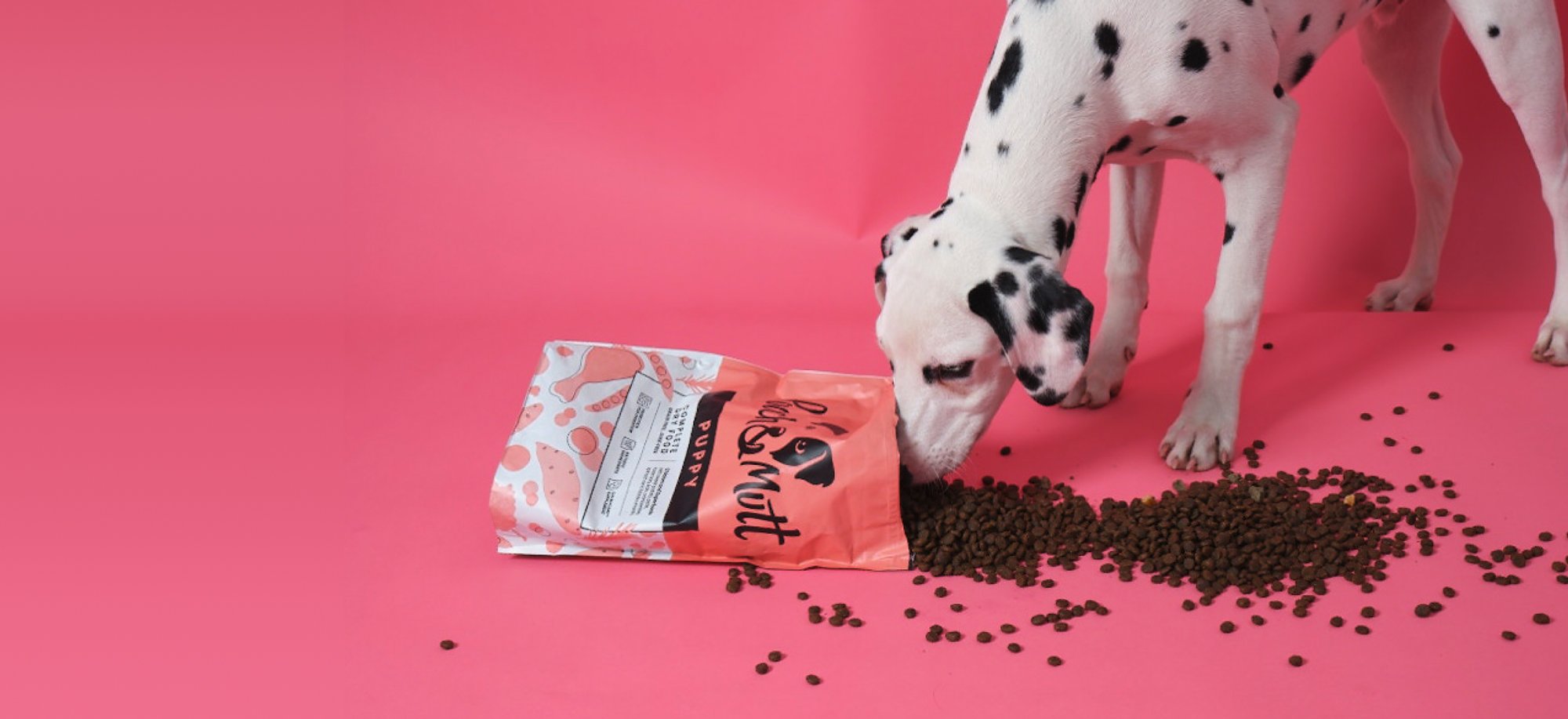 Pooch & Mutt Dog Food Subscription Case Study UWP