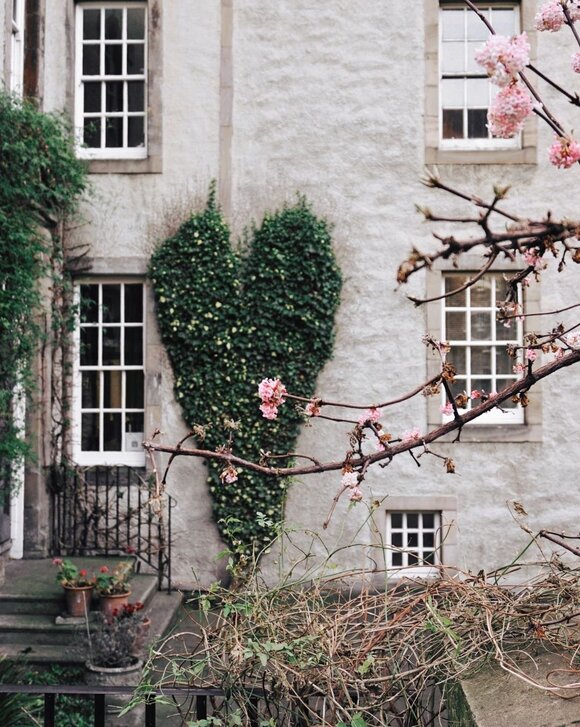 Edinburgh visual data 6