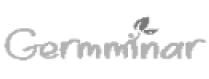 Company Logo 1