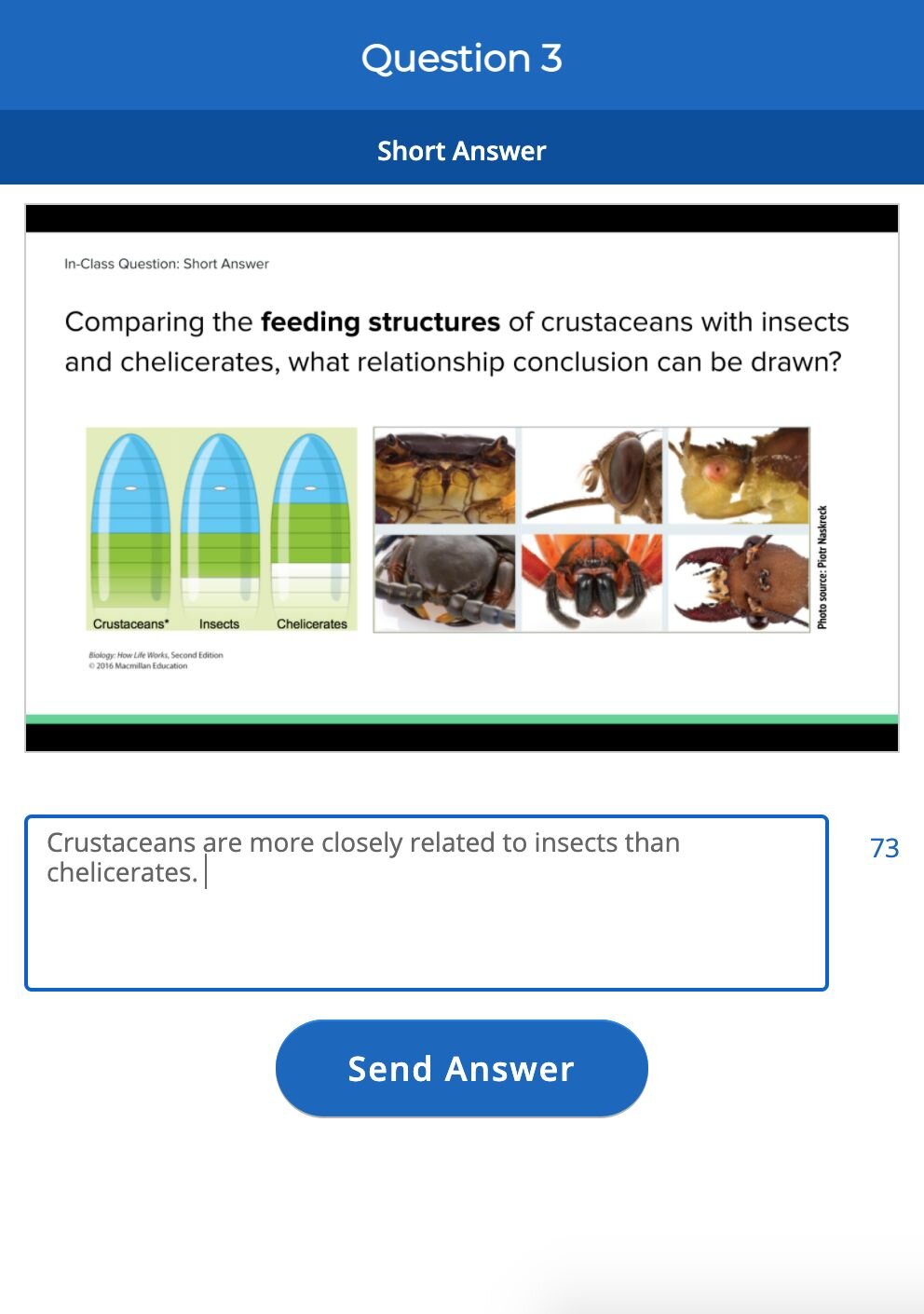 Macmillan Learning
