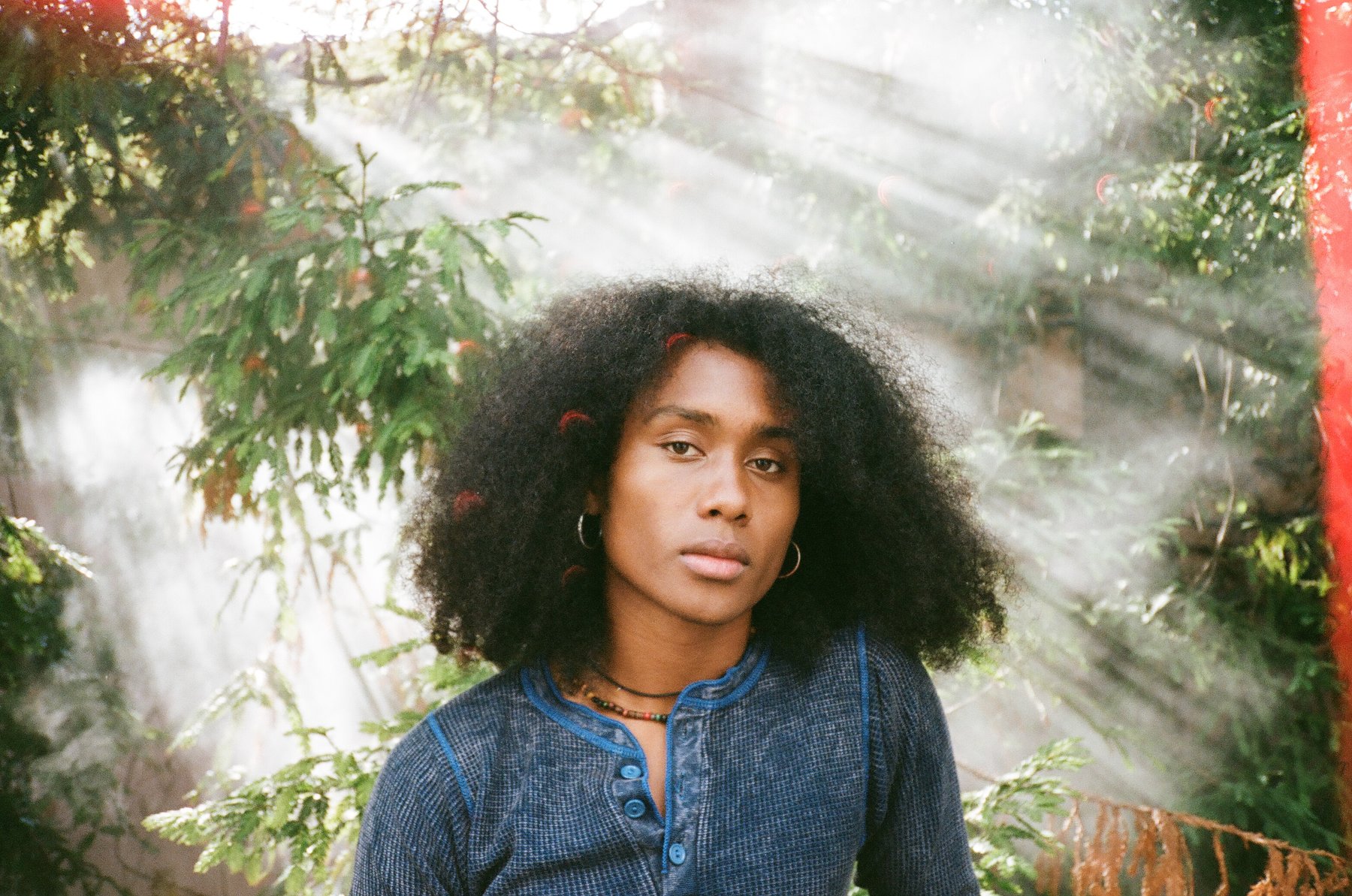 Indie Pop Artist Jelani Aryeh's Guide to San Diego Thrillist