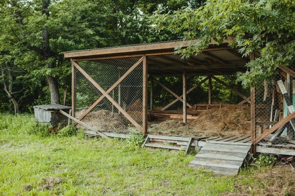 How to Build & Fox-Proof a Chicken Coop | Mesh Direct