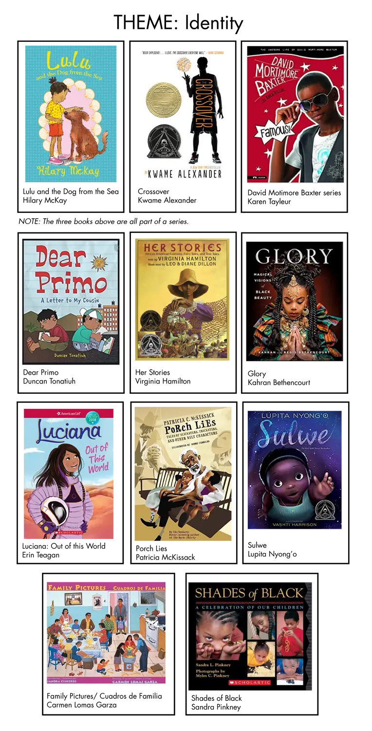 Lessons in Diversifying our School Library | Momentous Institute