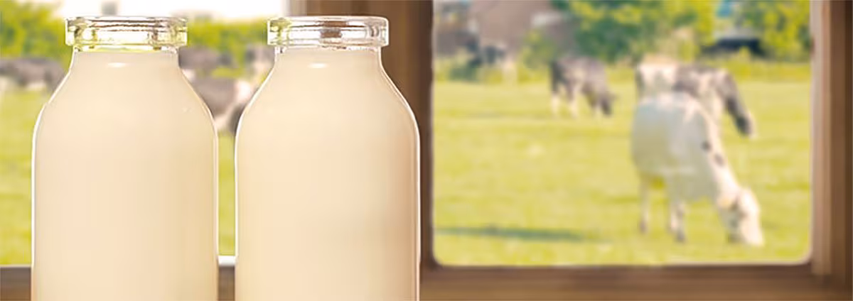 Milk bottles